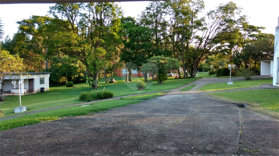 Foto REO454262