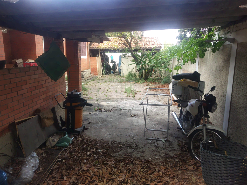 Foto REO454875
