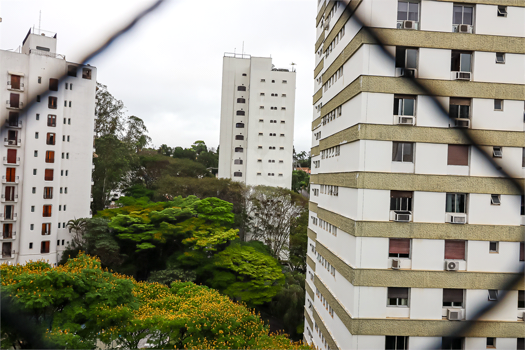 Venda Apartamento São Paulo Vila Morumbi REO45493 12