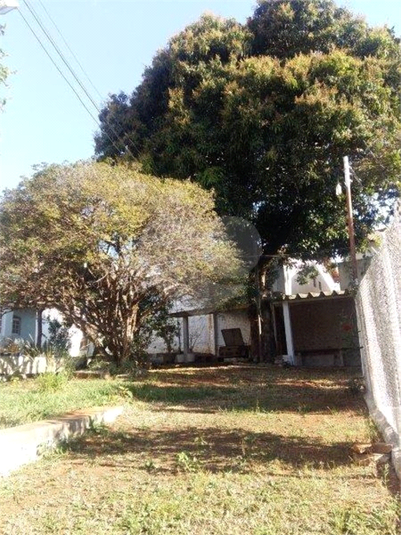 Foto REO455301