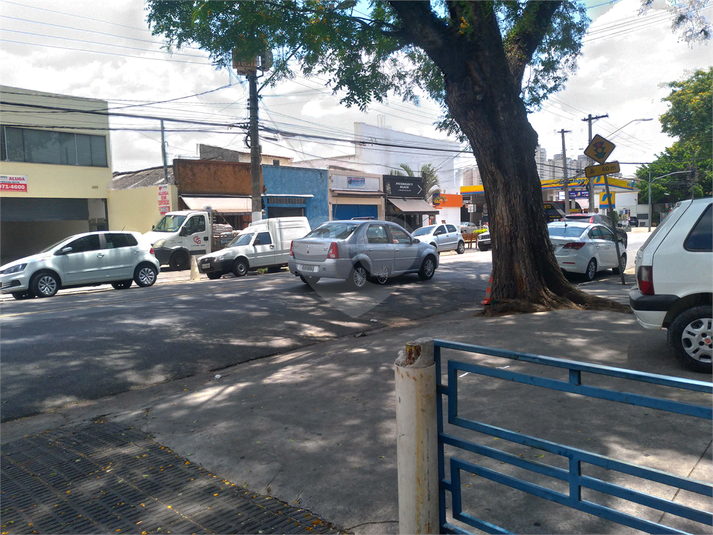 Foto REO455400
