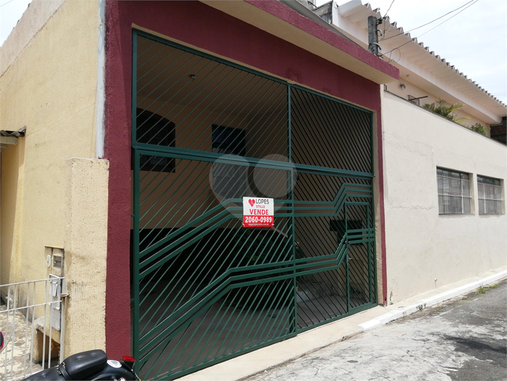 Foto REO455431