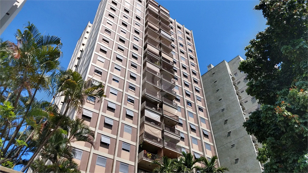 Venda Apartamento Campinas Cambuí REO456184 1