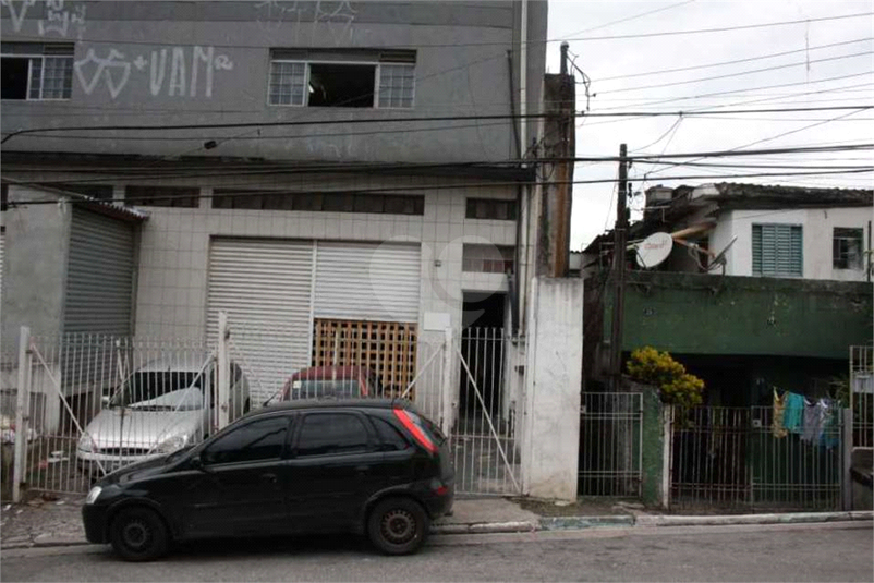 Foto REO456273