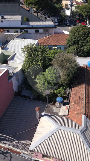 Foto REO456852