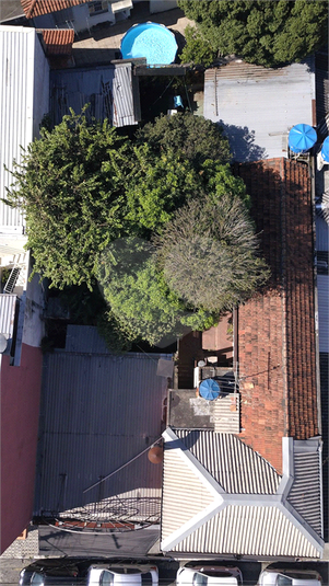 Foto REO456852