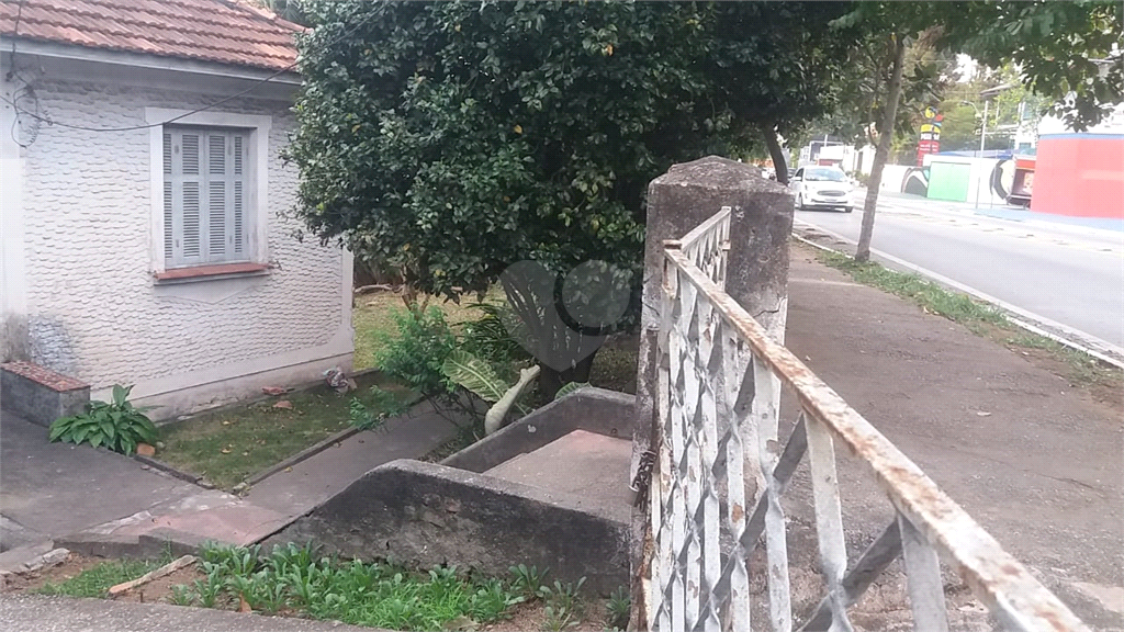 Venda Terreno São Paulo Tucuruvi REO456879 12