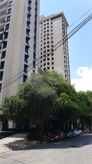 Foto REO456894