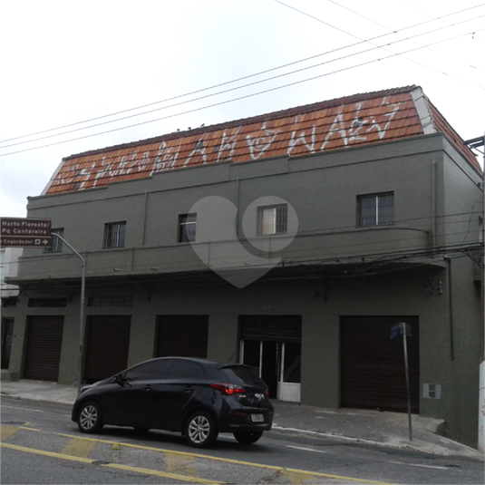 Foto REO457529