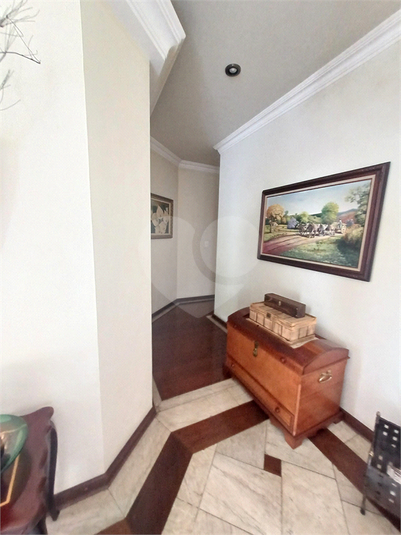 Foto REO457615