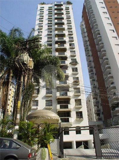 Foto REO457806
