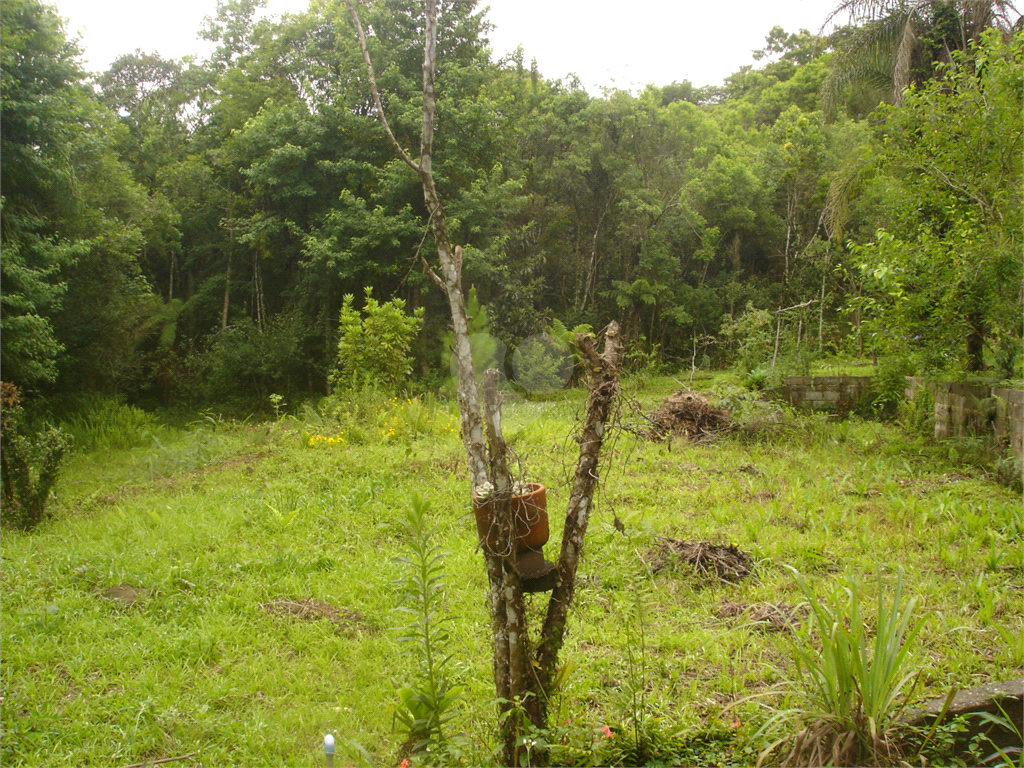 Venda Terreno Ibiúna Curral REO459085 9