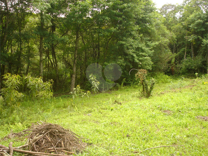 Venda Terreno Ibiúna Curral REO459085 10