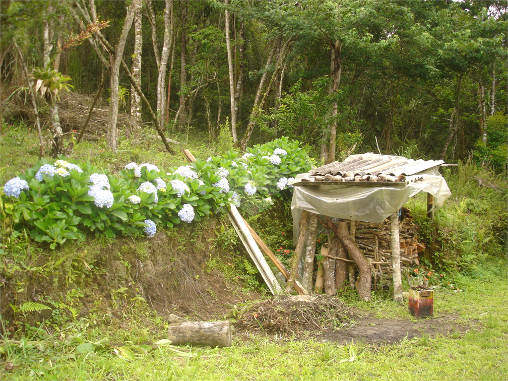 Venda Terreno Ibiúna Curral REO459085 2