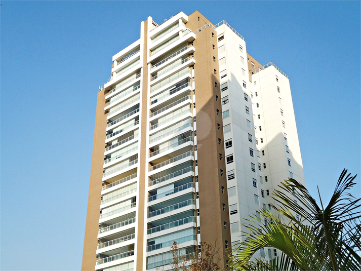 Foto REO459180