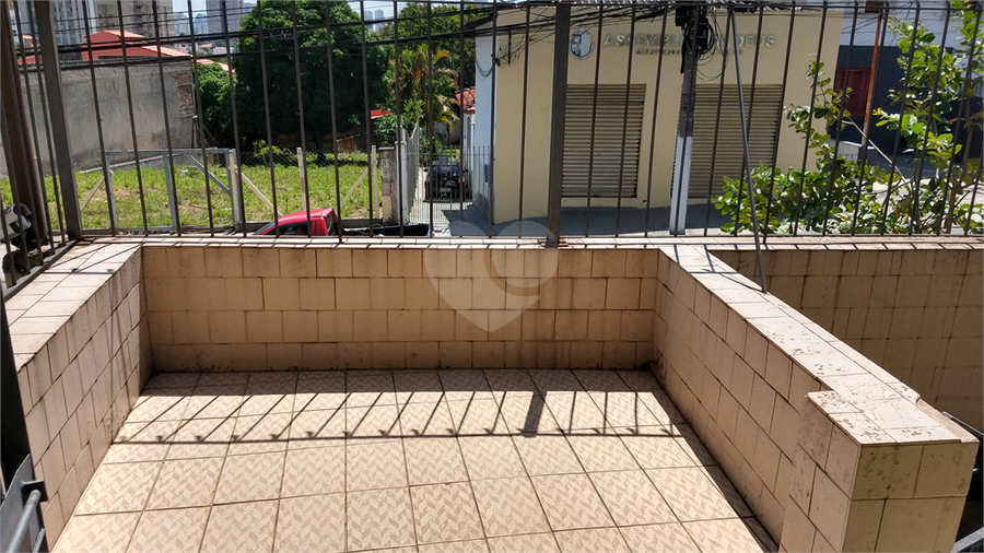 Foto REO459226