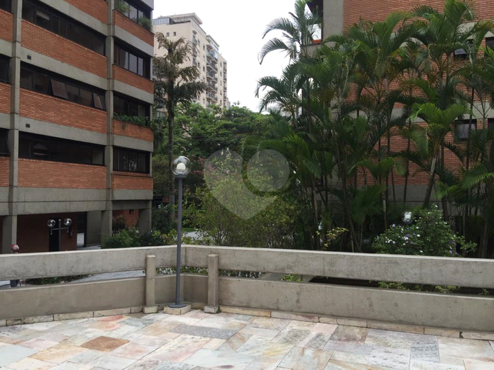 Foto REO459427
