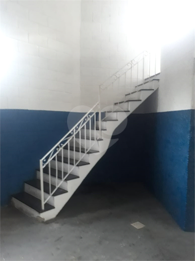 Foto REO459445