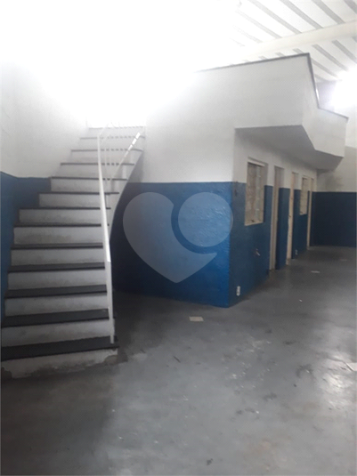 Foto REO459445