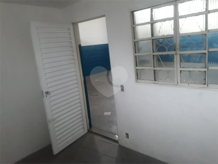 Foto REO459445
