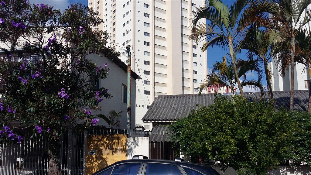 Venda Terreno São Paulo Jardim Santa Inês REO459637 9