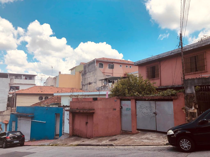 Foto REO459826