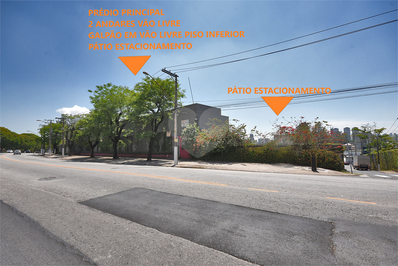 Foto REO459976