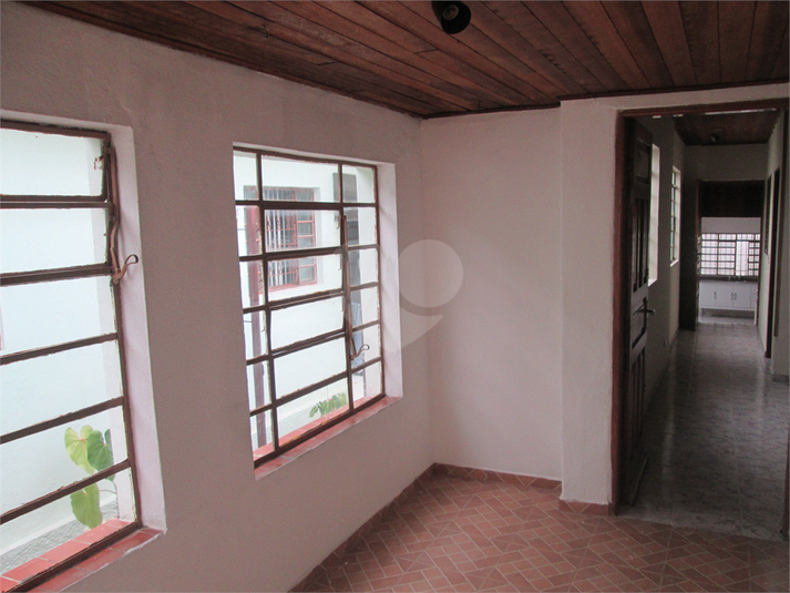 Foto REO460164