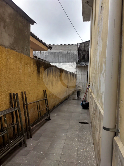 Foto REO460227