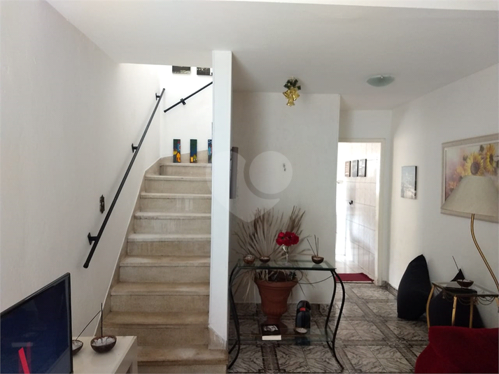 Foto REO460227