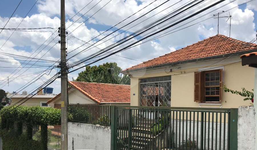 Foto REO460531