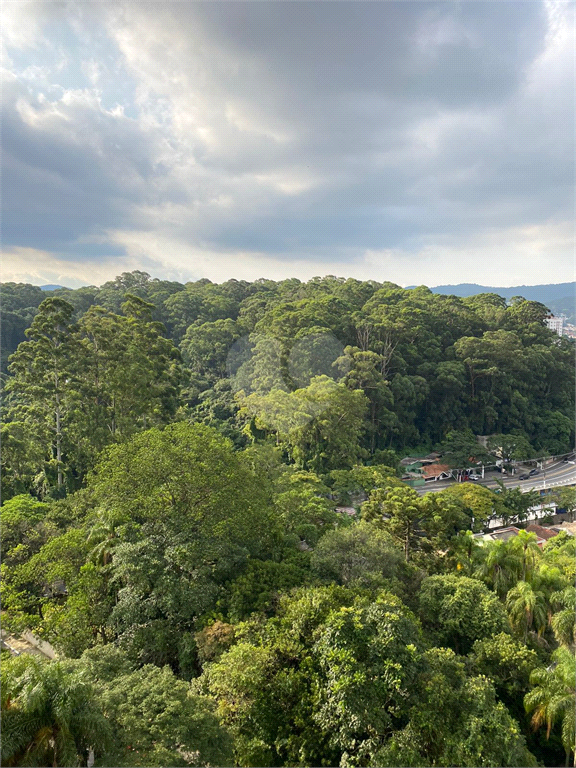 Venda Terreno São Paulo Vila Mazzei REO460531 15