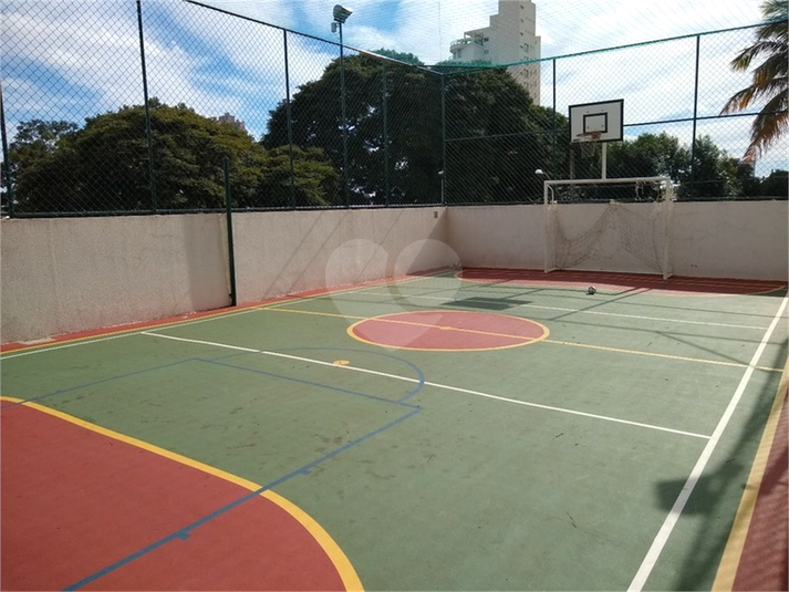 Foto REO461196
