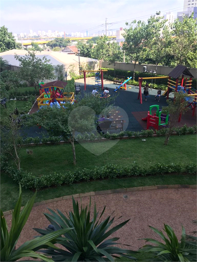 Foto REO461368