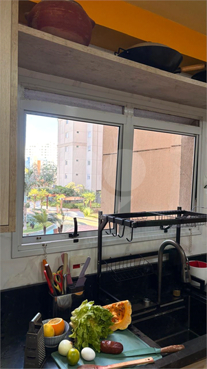 Foto REO461368