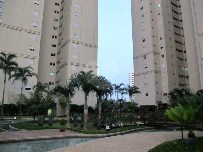 Foto REO461368