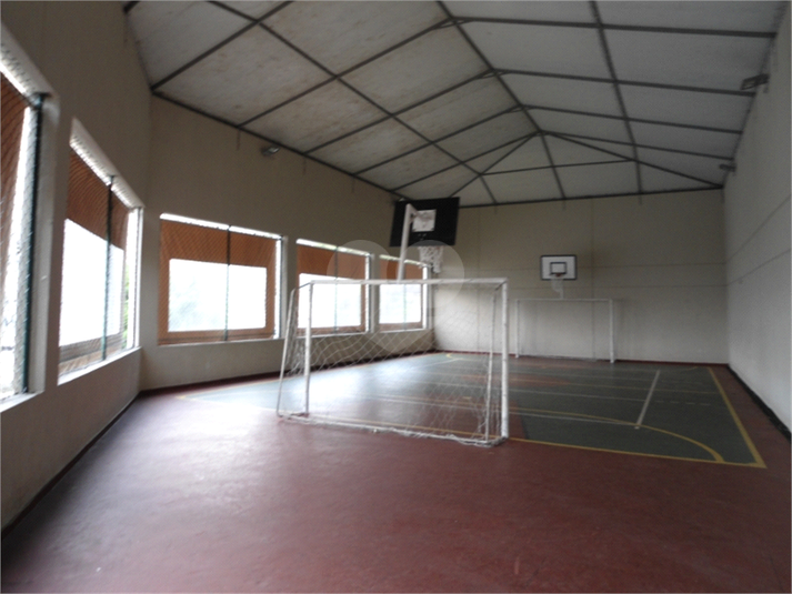 Foto REO461368
