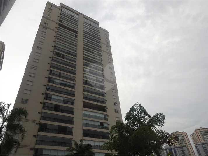 Foto REO461368