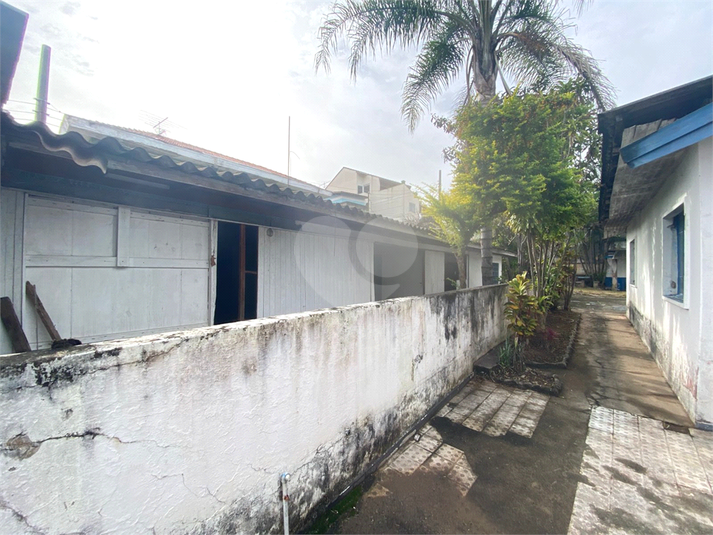 Foto REO461701