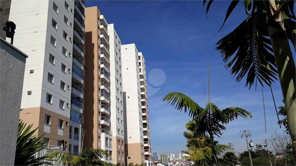 Venda Apartamento Sorocaba Jardim Emília REO461788 1