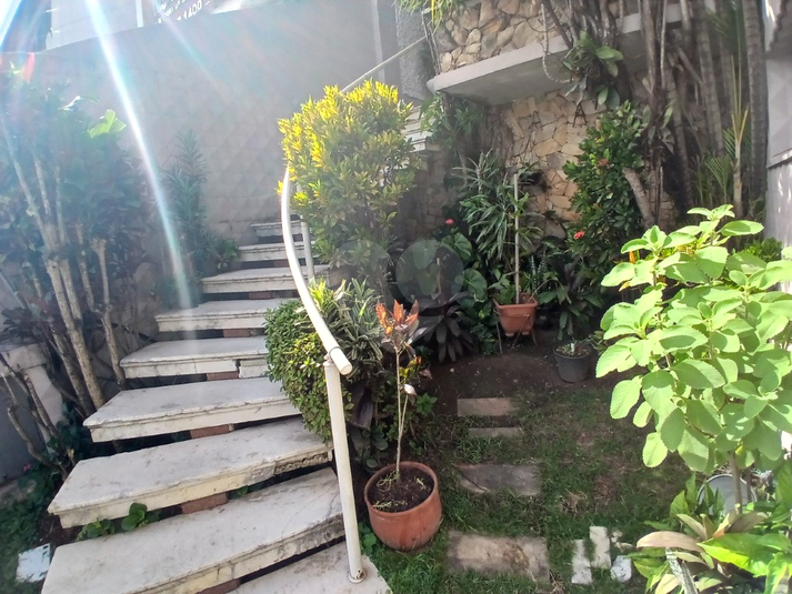 Foto REO463317