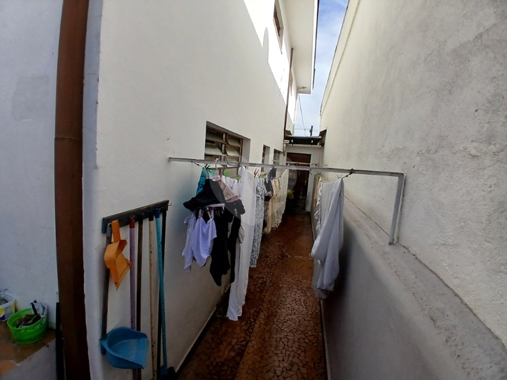 Foto REO463317