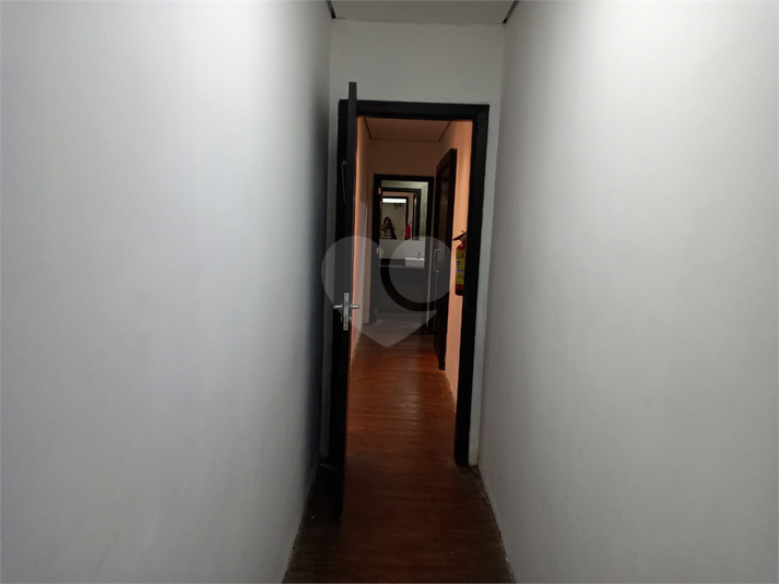 Foto REO463338