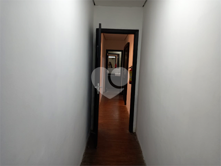 Foto REO463338