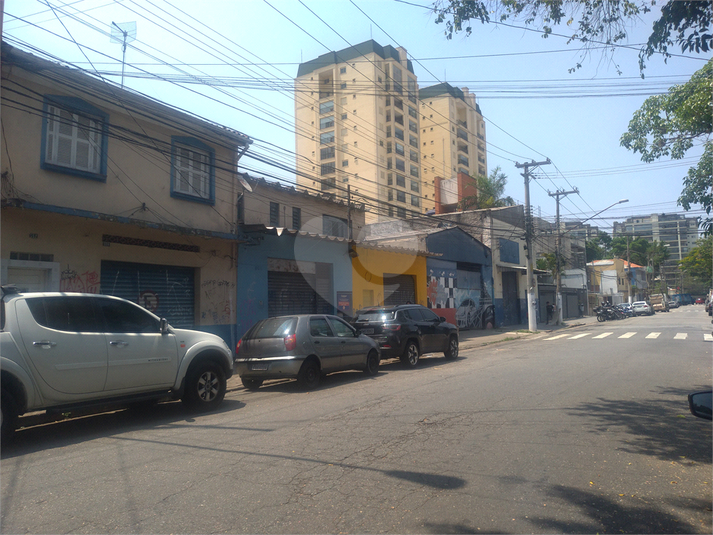 Foto REO465358