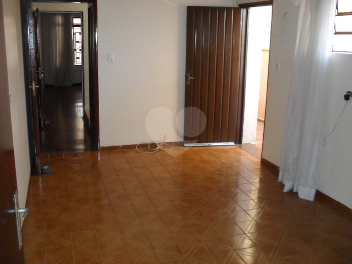 Foto REO465444