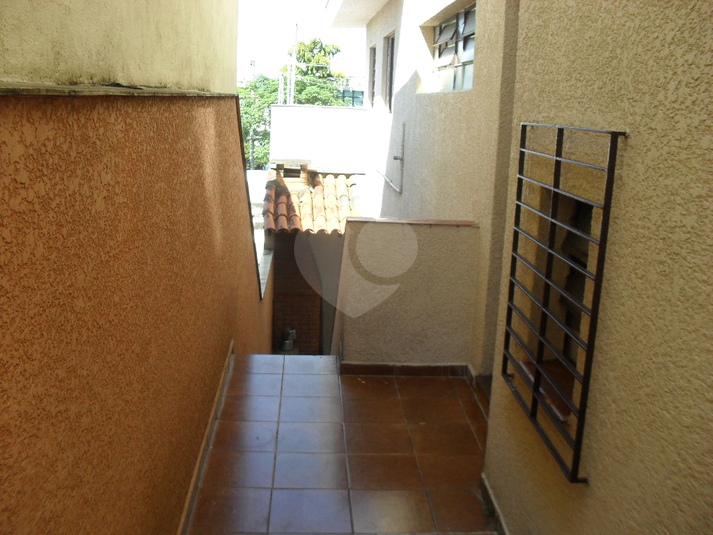 Foto REO465444