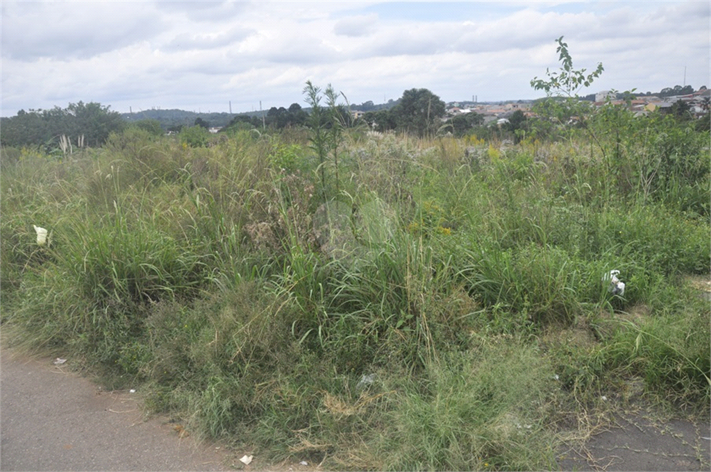 Venda Terreno São Paulo Vila Albertina REO468940 10