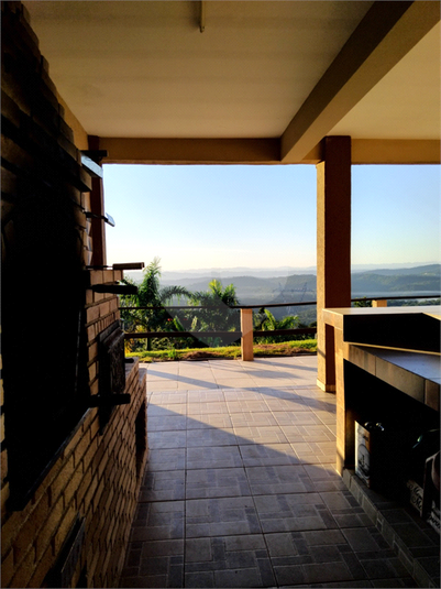 Foto REO469298