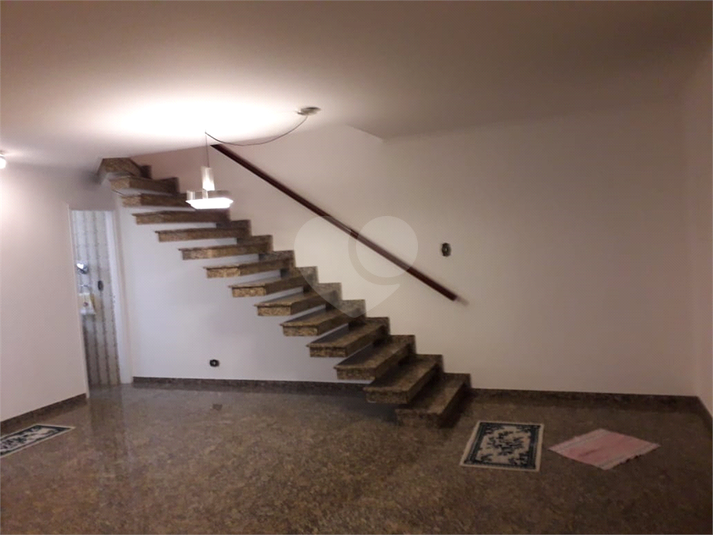 Foto REO469769